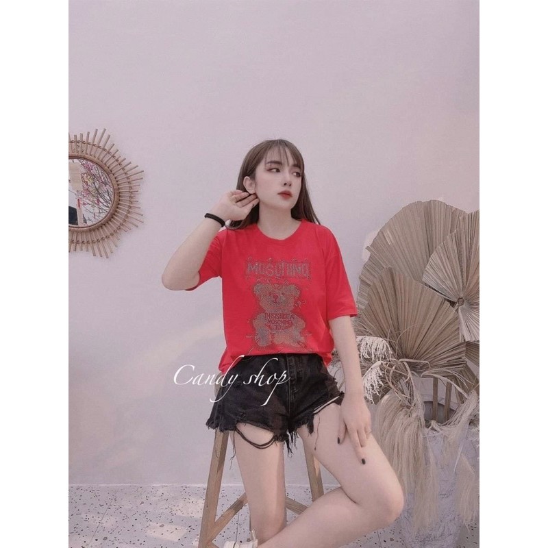 áo thun nữ cotton đính đá hình gấu áo cộc tay nữ