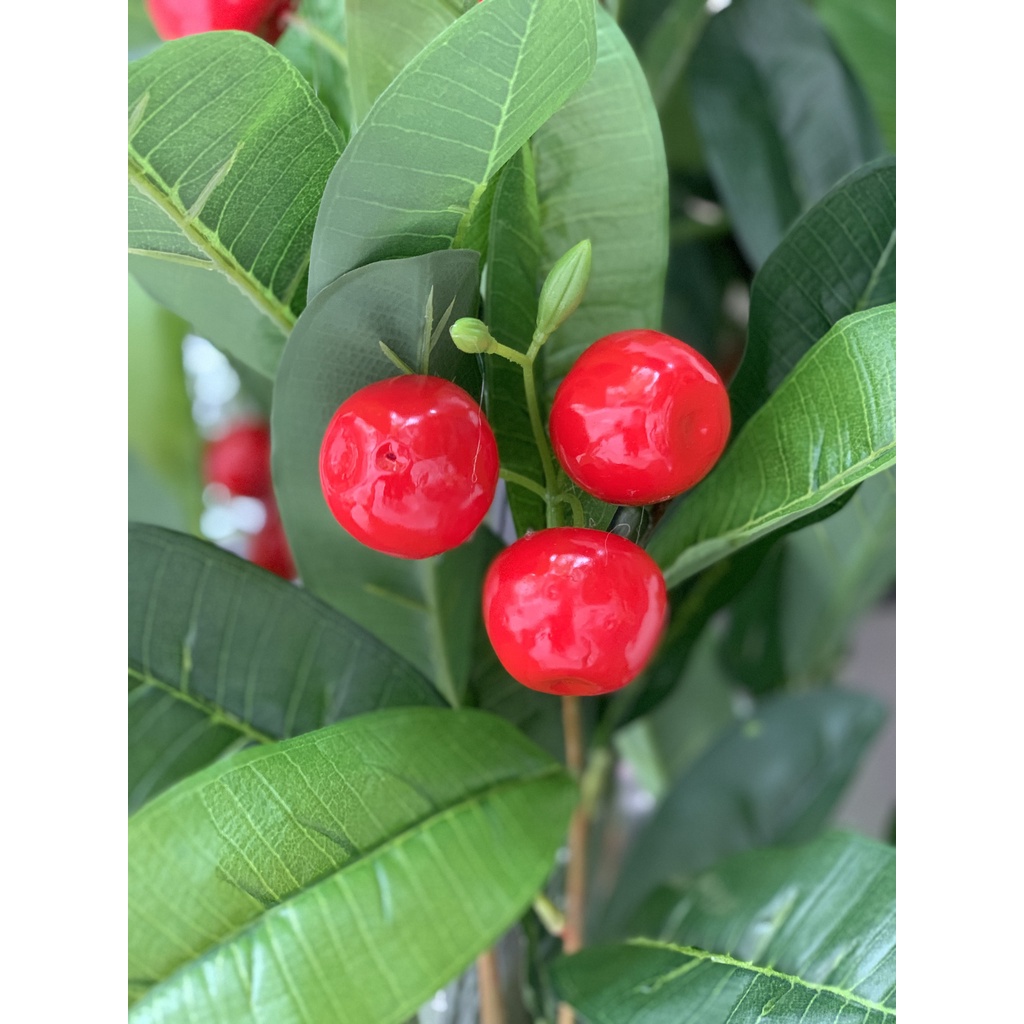 Cây giả - Cây sơri (cherry) đỏ 1,5m trang trí cực đẹp và sang, hàng sẵn kho