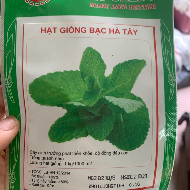 Hạt giống bạc hà tây