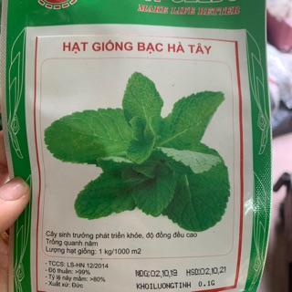 Hạt giống bạc hà tây