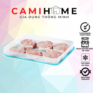 Hộp trữ đông dẹp, thấp Freezermate 1.2L Tupperware chính hãng, bảo quản thực phẩm ngăn đông