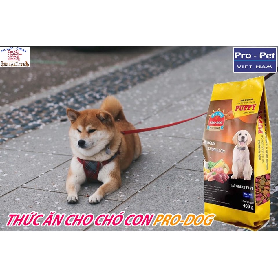 3 Gói Thức ăn hạt cho Chó con PRO-DOG PUPPY Gói 400g Xuất xứ Pro-Pet Việt Nam Dinh dưỡng hoàn chỉnh cho Chó