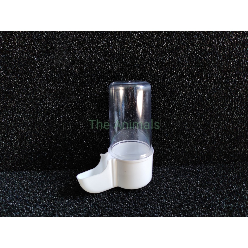 Cóng nước nhập khẩu cho chim cảnh nhỏ - Phụ kiện lồng chim (75ml)