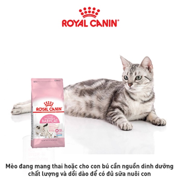 Royal Canin Mother &amp; Baby Cat 2kg 400g - Thức Ăn Cho Mèo Mẹ Và Mèo Con 1-4 Tháng Tuổi