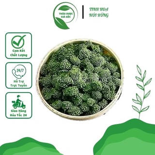 250gr nụ hoa tam thất , nụ tam thất bao tử