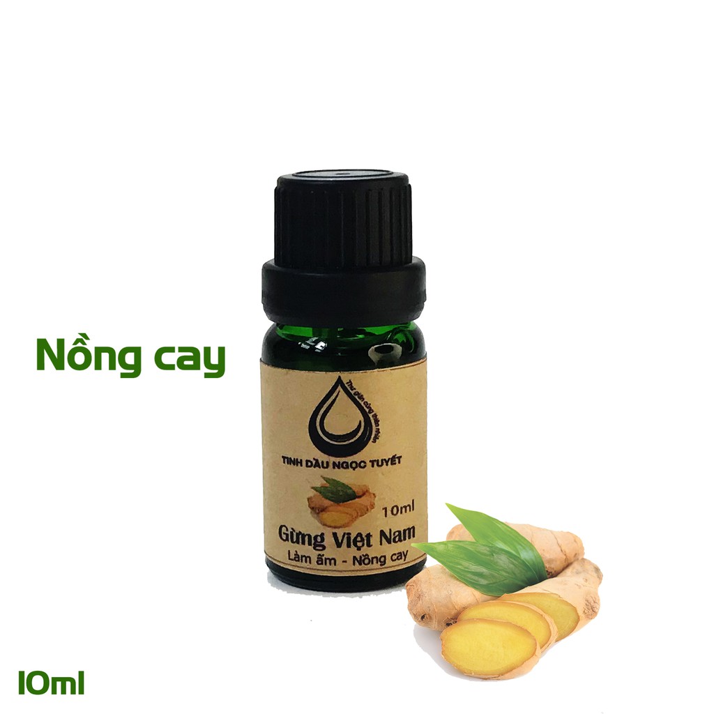 Tinh dầu gừng nguyên chất Ngọc Tuyết 10ml làm ấm đường thở, hương thơm nồng cay, chiết xuất từ gừng Việt Nam