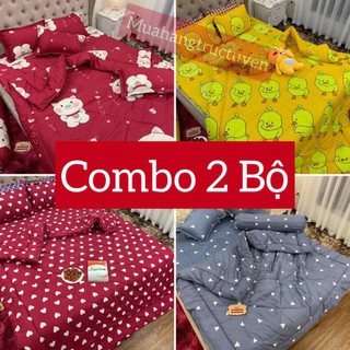 Combo 2 bộ ga gối cotton poly