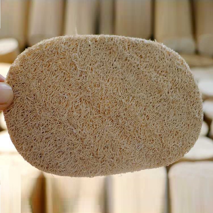 Xơ Mướ Rửa Chén Bát, Xơ Mướp Tự Nhiên Để Tắm