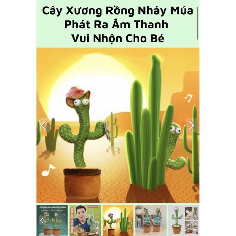 Cây sương rồng nhảy múa với 120 bài hát TikTok siêu cute