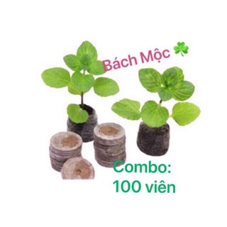 Combo: 100 viên nén sơ dừa ươm mầm cây giống ☘️