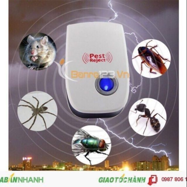Máy diệt côn trùng