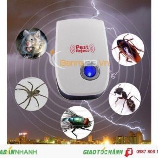 Máy diệt côn trùng