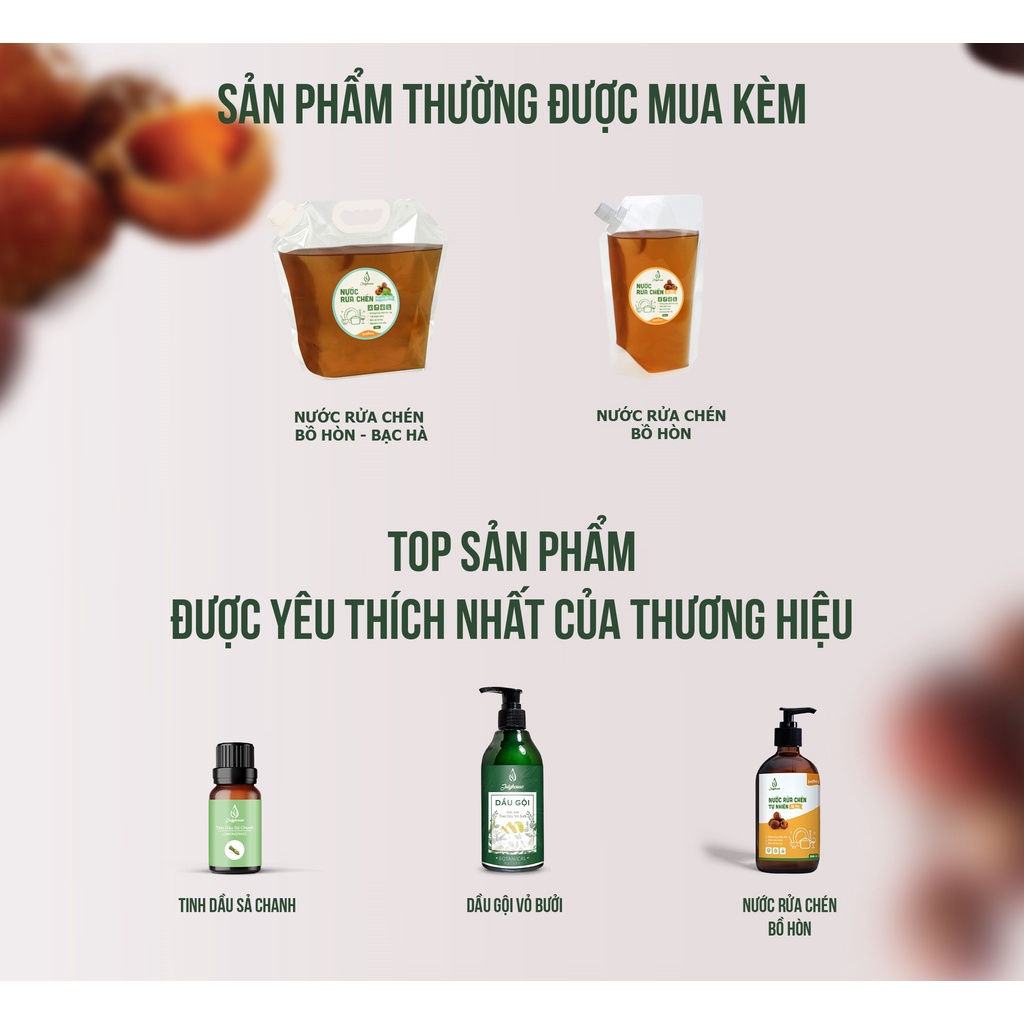 Nước Lau Sàn đuổi muỗi và côn trùng tinh dầu Bạch Đàn Chanh - Bồ Hòn 1000ml JULYHOUSE