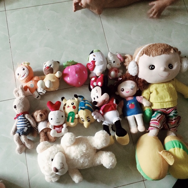Gấu của c Thái