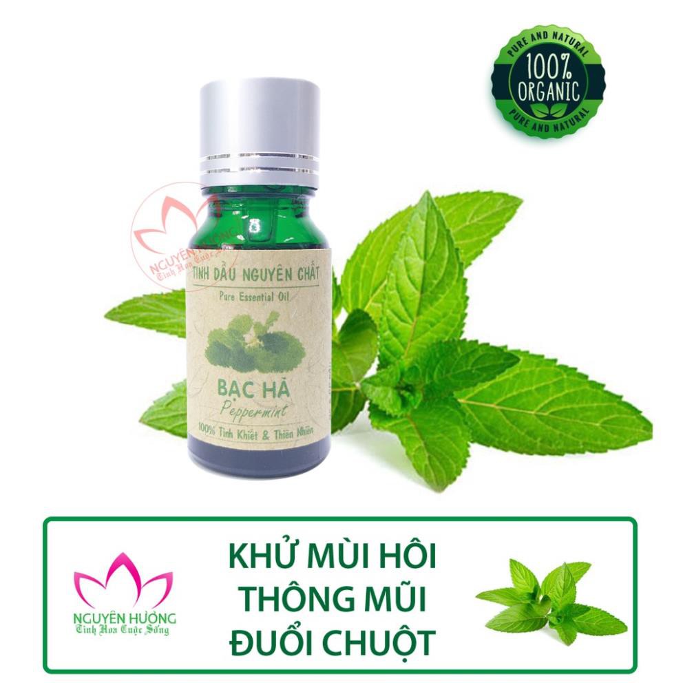 Tinh Dầu Thư Giãn, Giảm Stress Bằng Liệu Pháp Xông Thơm Phòng [Lọ 10ml]