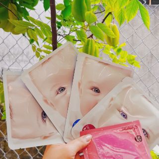 Nhím gai trả đơn mon ron