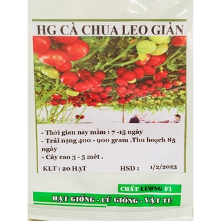 Hạt giống Cà chua leo giàn ( Cà chua bạch tuộc)