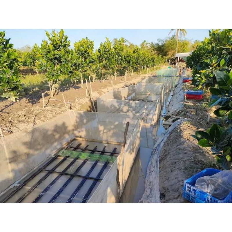 Tráng lưới nuôi ốc , ếch cá 3x2x1 ( Máy 2 đường chỉ )