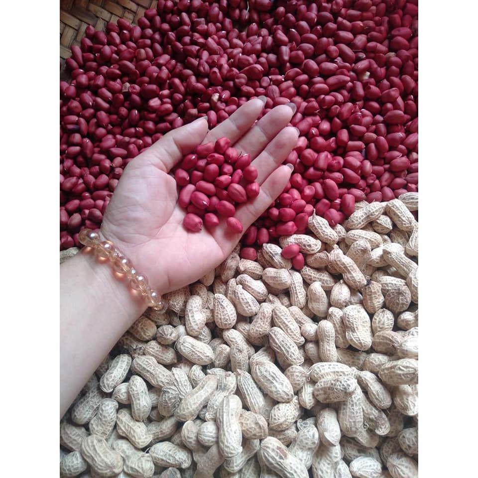 Lạc đỏ Yên Bái bóc tay túi 0,5kg