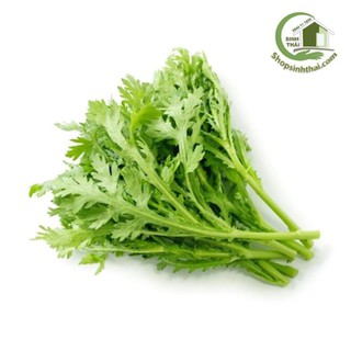 Hạt giống rau tần ô - rau cải cúc