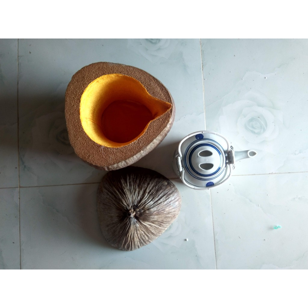 Combo vỏ bình trà bằng trái dừa + 1 bình tích và 6 tách trà