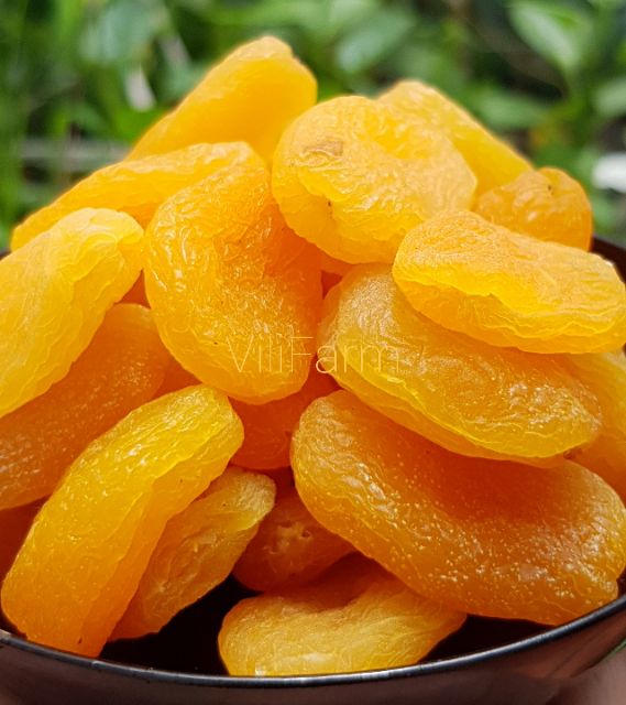 [Mã 267FMCGSALE giảm 8% đơn 500K] MƠ THỔ NHĨ KỲ SẤY LẠNH | BigBuy360 - bigbuy360.vn