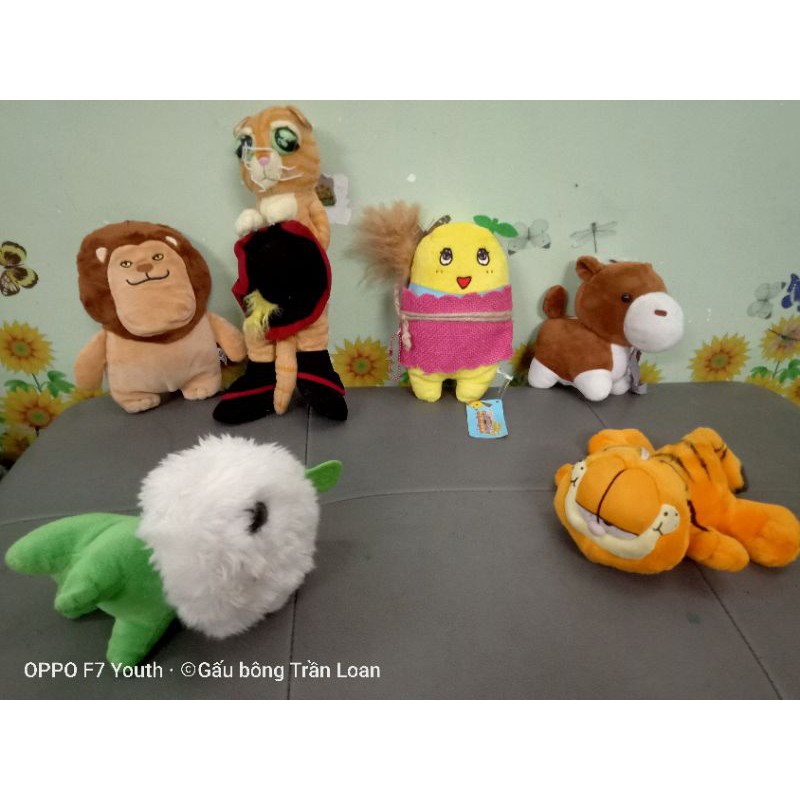 Gấu bông tháng 11