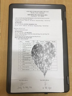 Viên tinh bột nghệ mật ong handmade [ túi zip 100g]