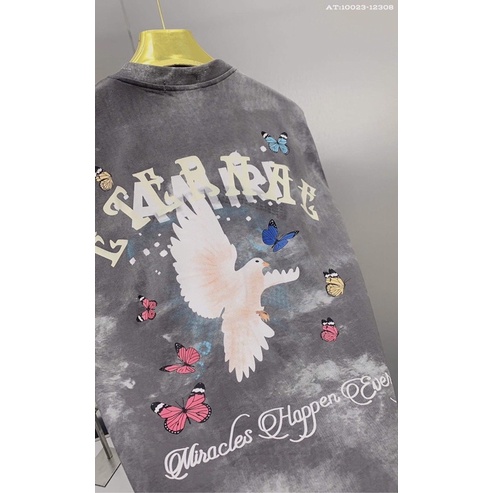 Áo Phông Nam Amiri In Hình Chim Bồ Cầu, Áo Thun Nam Nữ Cổ Tròn Cao Cấp Y22 - Bee Shop