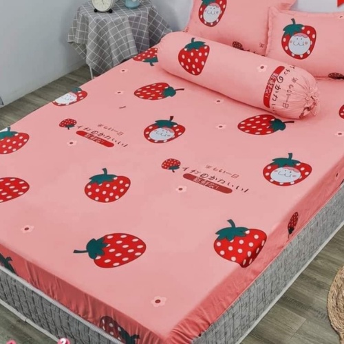 Ga Giường Cotton Poly, Ga Nệm Drap Giường Bốn Mùa Đủ Size Đủ Màu. | BigBuy360 - bigbuy360.vn