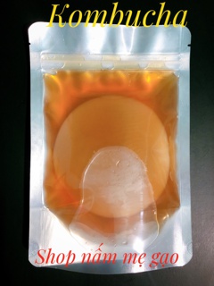 Nấm kobumcha/Milk kefir (Nấm sữa)
