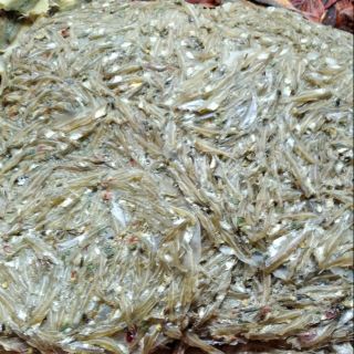 250gr khô cá cơm ghép Cà Mau thơm ngon ngất ngây