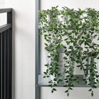 Chậu cây FEJKA IKEA chính hãng