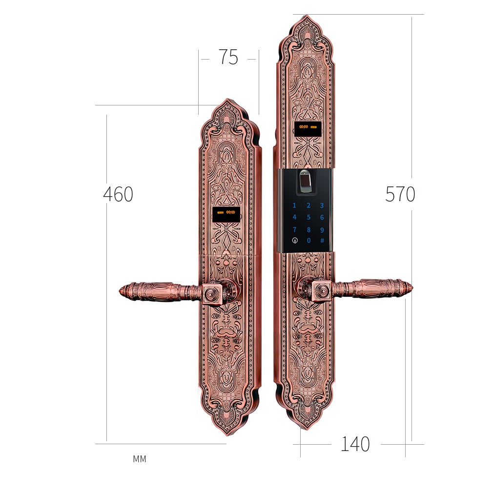 Khóa vân tay 5ASYSTEMS DK6000