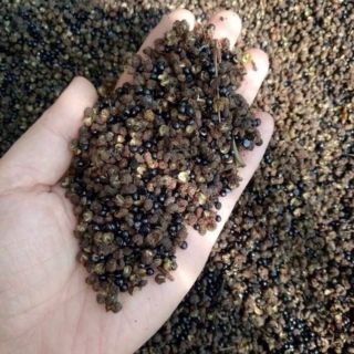 50g mắc khén rừng