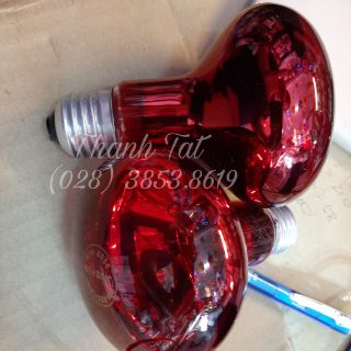 Bóng Đèn Hồng Ngoại