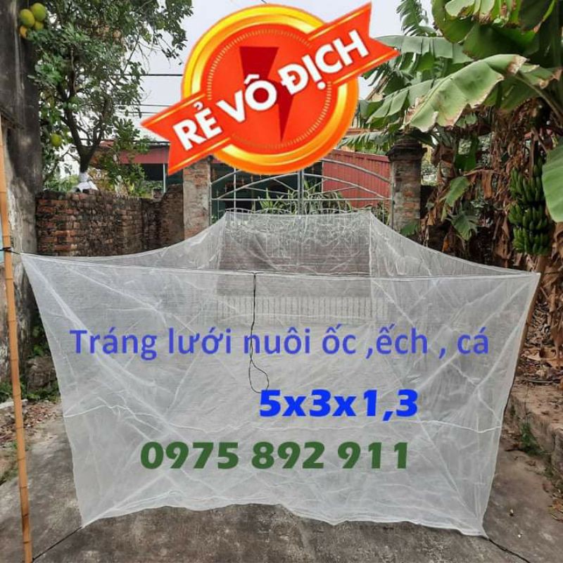 Tráng lưới nuôi ốc nhồi - 15 mét vuông cao sâu 1,3 mét