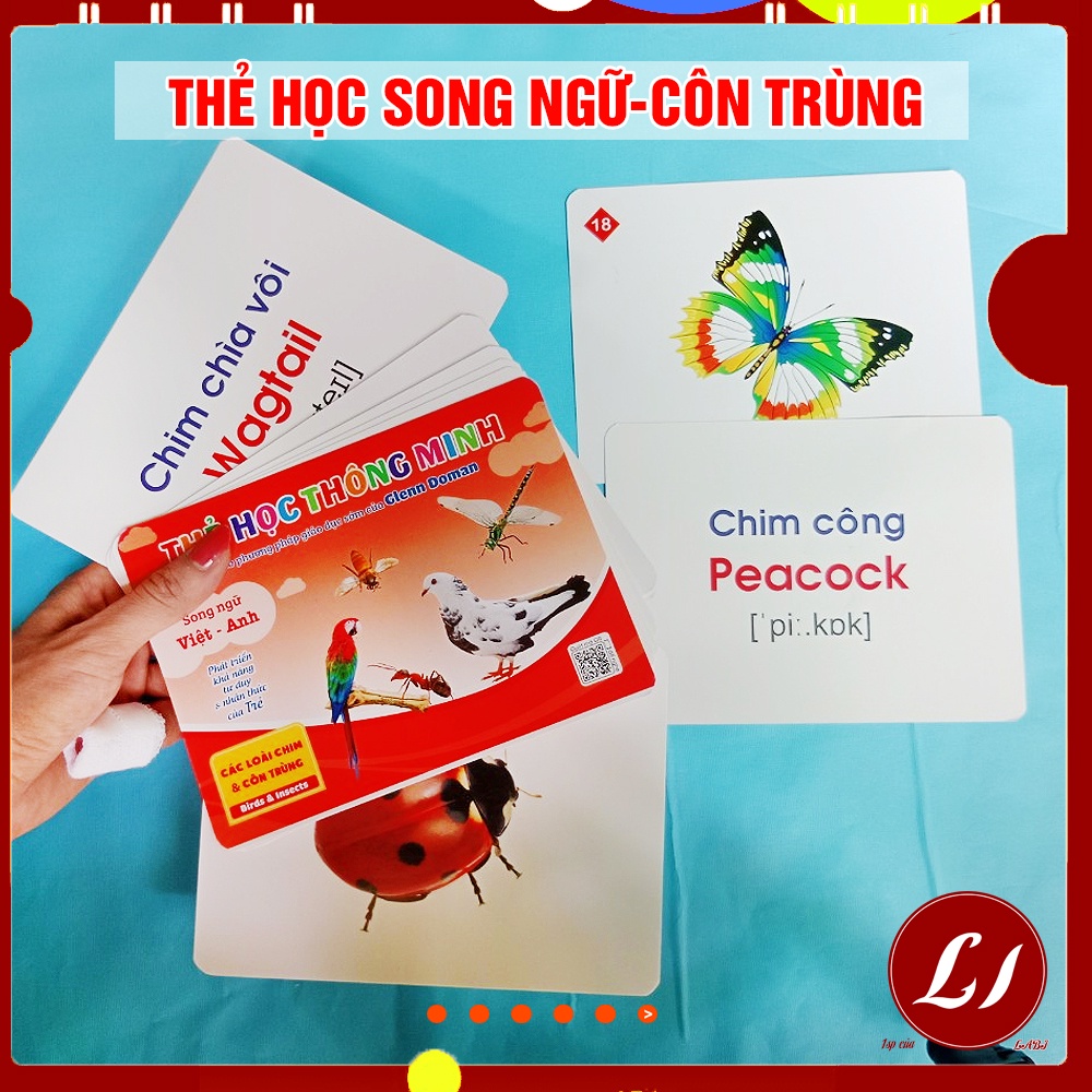 Set 17 Thẻ học song ngữ cho bé - CHIM VÀ CÔN TRÙNG (có mã quét QR dạy cách đọc)