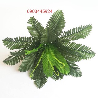Cây Giả - Dương Xỉ Cỡ Trung