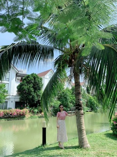 Áo phông nữ(ảnh thật cuối)