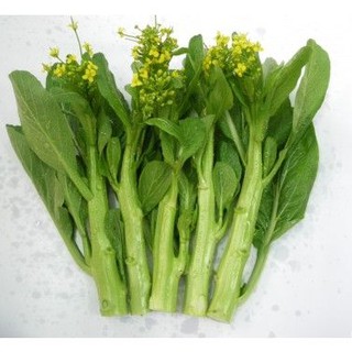 Hạt Giống Cải Ngọt Bông Ăn Bông (Cải Ngồng) Dễ Trồng