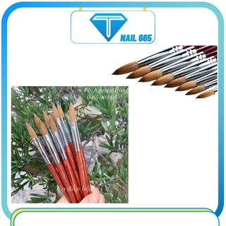 Cọ đắp bột nail Kolinsky , Cọ đắp bột móng nail cao cấp