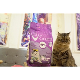 Combo 1 túi cát vancat + 1 bao tay lấy lông + 1 đèn laze + 1 chuột + 1 vòng cổ