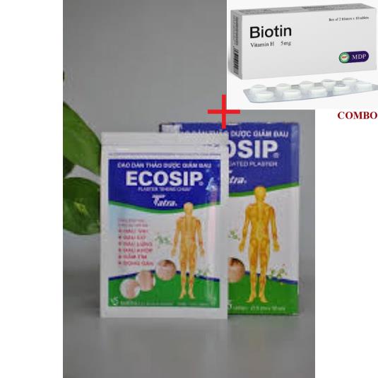 Combo Biotin 5mg+ ECOSIP - CAO DÁN THẢO DƯỢC gói 5 miếng