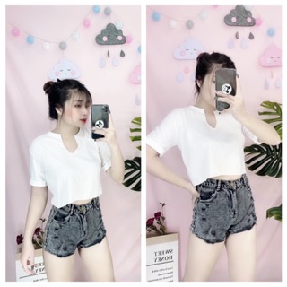 Áo thun giấy croptop cổ tim màu + sọc