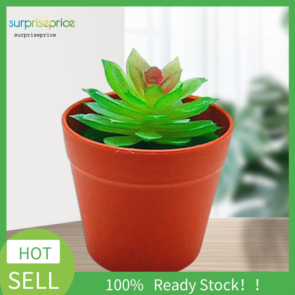 Chậu Cây Cảnh Nhân Tạo Sống Động Dùng Trang Trí