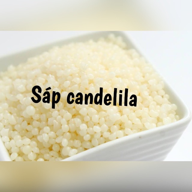 Sáp candelila