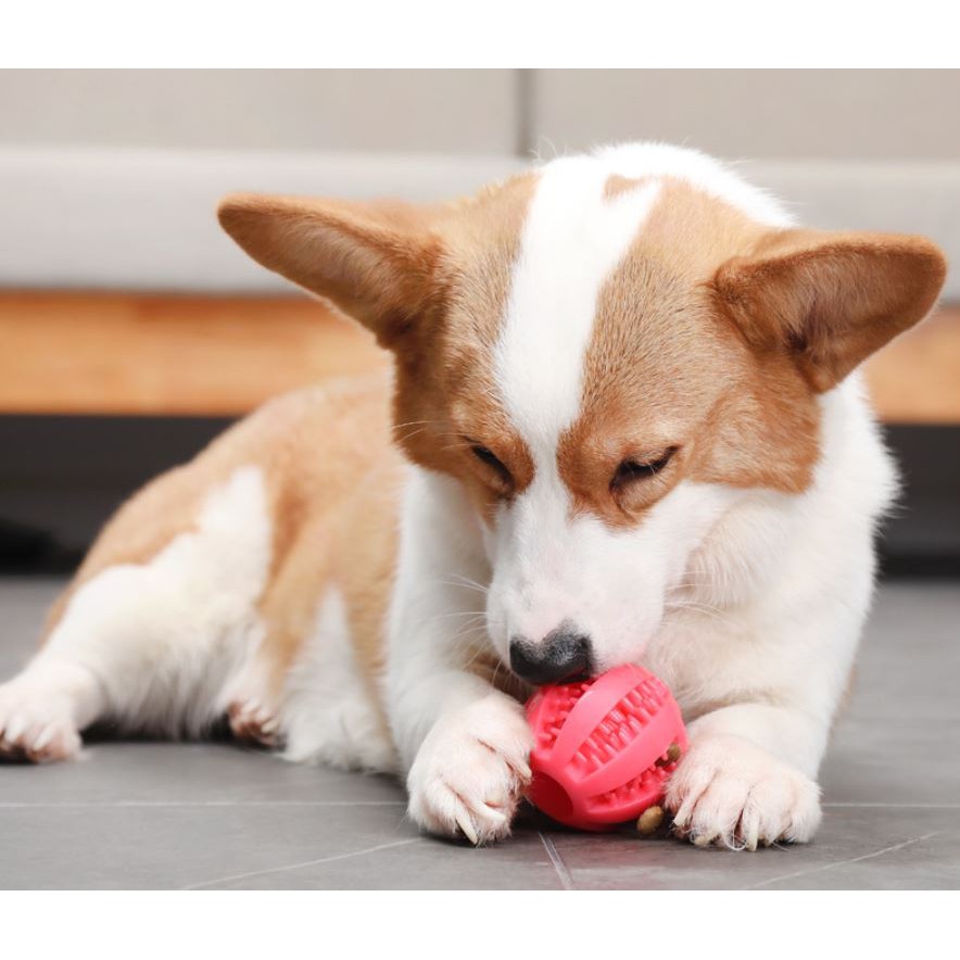 Bóng cao su 6.5cm đồ chơi cho cún ,bóng lấy cao răng cho cún
