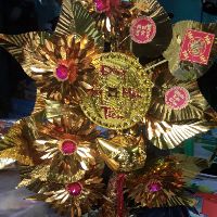 Combo 15 cây vàng lá ngọc