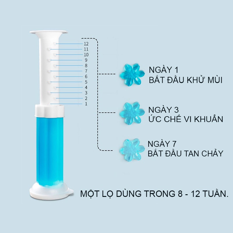Gel khử mùi bồn cầu, hoa khử mùi thơm tự nhiên nhà vệ sinh 6 Màu hương - Gia Dụng BeenDecor